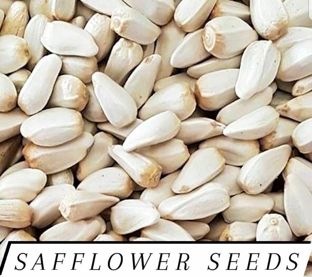 Safflower Seeds Dove Pigeon Squirrel Food Choose Size