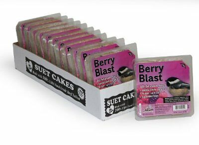 Heath Outdoor Products Dd-15 Berry Blast Suet Cake, 11.25 Oz, Case Of 12